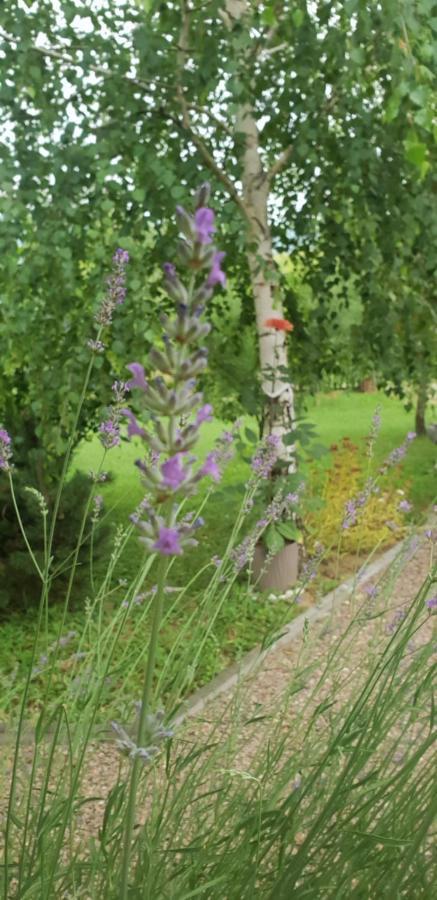 Green Garden Lohovo Bihać Εξωτερικό φωτογραφία