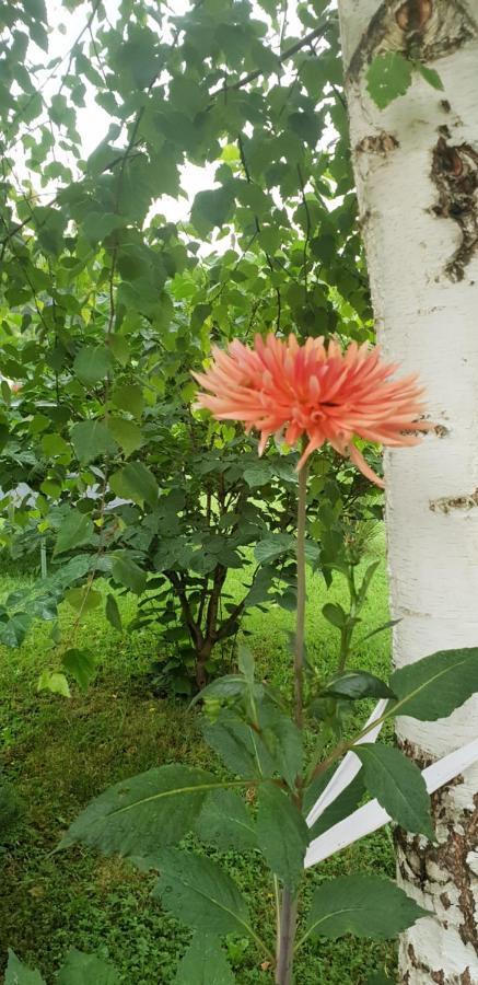 Green Garden Lohovo Bihać Εξωτερικό φωτογραφία